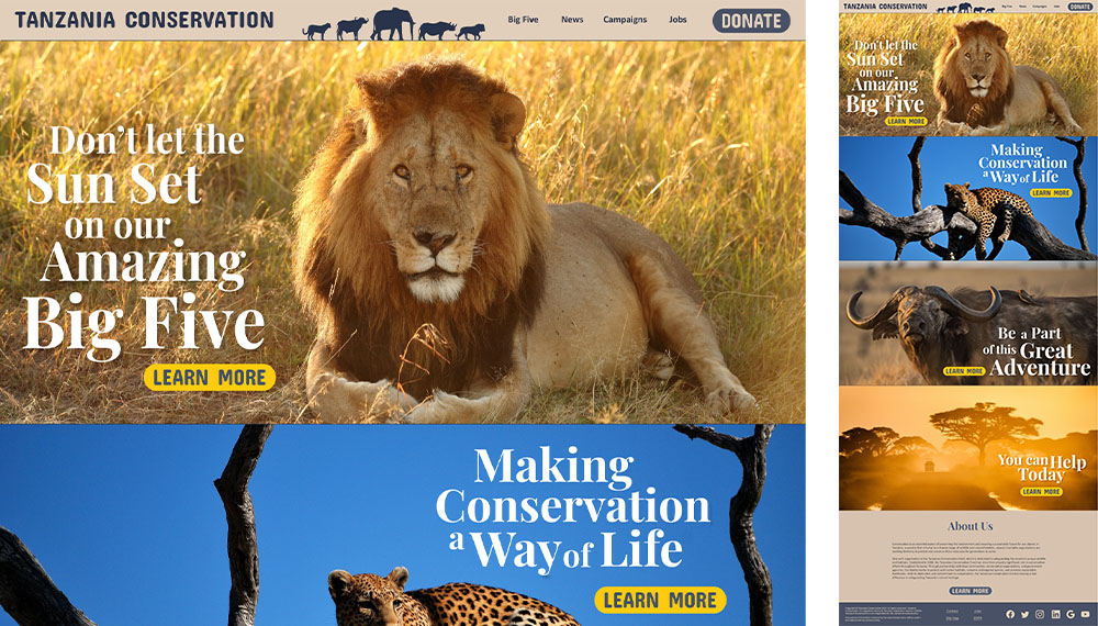 Tanzania Conservation TanCon index