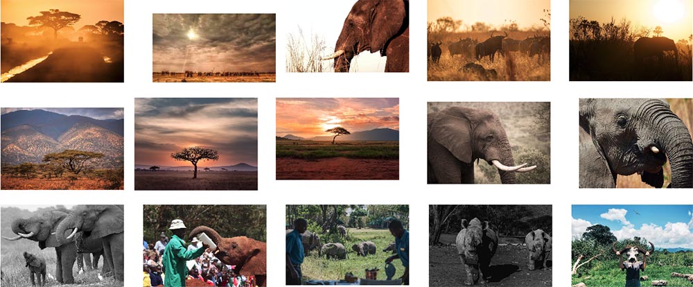 Tanzania Conservation TanCon photos