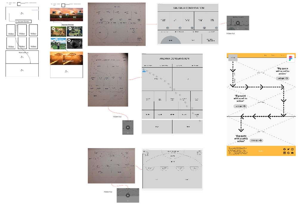 Tanzania Conservation TanCon wireframes
